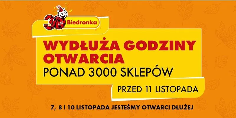 Niedziela handlowa Biedronka