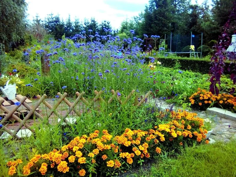 Obwódki z drewna i kamienia